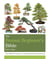 The Bonsai Bible - The definitive guide to choosing and growing bonsai