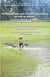 Développement rural et petite paysannerie en Asie du Sud-Est - Leçons d'expériences au Vietnam et au Cambodge Rural development and small farmers in South East Asia - Rural development and small farmers in South East Asia