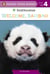 Welcome, Bao Bao