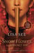 Snow Flower and the Secret Fan - A Novel