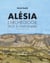 Alésia NE - L'archéologie face à l'imaginaire