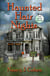 Haunted Hair Nights - The Bad Hair Day Mysteries, #12.5