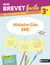 Histoire-Géographie-EMC 3e - Mon Brevet facile - Préparation à l'épreuve du Brevet 2027 - EPUB