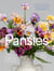 Pansies - How to Grow, Reimagine, and Create Beauty with Pansies and Violas