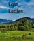 Lost Ladies - Rigsby, #6