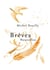 Brèves Nouvelles