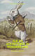 Alice's Adventures in Wonderland (Best Navigation, Active TOC) (Prometheus Classics)