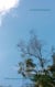 "Der Himmel ist hier anders blau ..." - Erfahrungen einer Ärztin in der Entwicklungshilfe