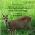 Wer ist denn da alles im Wald und auf der Wiese unterwegs? - 2. Buch