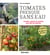 Tomates presque sans eau : Conseils, astuces et variétés pour plus de sobriété