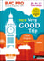 New vey good trip : anglais : bac pro : niveau A2/B1+ : livre + licence de l'élève (édition 2019)