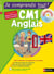 Je comprends tout : anglais - CM1