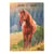 Agenda scolaire 2025/2026 - 12x17 cm - Cheval - Cultura
