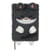 Carnet Mr Wonderful - A5 14,8 x 21 cm - Peluche Chat 