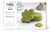 Kit savon à la feuille de Moringa - Graine Creative
