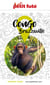 Guide Congo Brazzaville 2024/2025 Petit Futé