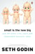 Small is the New Big - And 183 Other Riffs, Rants and Remarkable Business Ideas