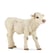 Veau charolais - PAPO - 51157