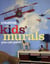Creative Kids' Murals You Can Paint