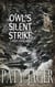 Owl's Silent Strike - Gabriel Hawke Novel, #9