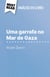 Uma garrafa no Mar de Gaza de Valérie Zenatti (Análise do livro) - Análise completa e resumo pormenorizado do trabalho