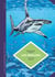La petite Bédéthèque des Savoirs - Les requins - Les connaître pour les comprendre