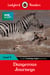 Ladybird Readers Level 4 - BBC Earth - Dangerous Journeys (ELT Graded Reader)