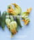 Mediterranean - Naturally nourishing recipes from the world's healthiest diet