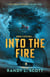 Into the Fire - Dream Messiah, #2