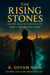 The Rising Stones - Before The Flood - The Rising Stones - An Epic Saga of Indus Valley, #1