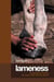 Lameness - Recognizing And Treating The Horse's Most Common Ailment