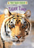 Tiger Time