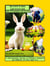 Bunny's Big Adventure : Tales of Friendship and Sharing - The Mindful Jungle Tales