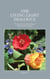 The Living Light Dialogue Volume 17
