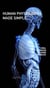 Human Physiology, Made Simple