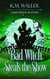Bad Witch Steals the Show - A Bad Witch Mystery, #3
