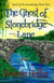The Ghost of Stonebridge Lane - The Stonebridge Ghost Tales, #1