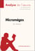 Micromégas de Voltaire (Analyse de l'oeuvre) - Analyse complète et résumé détaillé de l'oeuvre