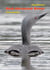 Red-throated Diver - Gavia stellata