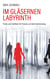 Im gläsernen Labyrinth - Tricks und Taktiken für Frauen auf dem Karriereweg