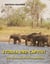 Etosha und Caprivi - Eine Reise in den Norden Namibias