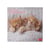 Calendrier mural 2026 Legami - Kittens - 30 x 29 cm