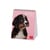 Calendrier de bureau 2026 Legami - Puppies - 12 x 14,5 cm 
