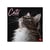 Calendrier mural 2026 Legami - Cats - 30 x 29 cm