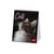 Calendrier de bureau 2026 Legami - Cats - 12 x 14,5 cm 