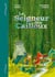 Le seigneur des cailloux