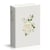 Bible Segond 21 : Journal de bord
