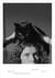 Polly Brown : To wear a cat on your head