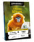 Coffret cadeau Wonderbox - Zoo Parc de Beauval Séjour