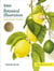 RHS Botanical Illustration : The Gold Medal Winners